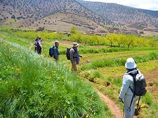 Trekking im ait bouguemez-tal marokko